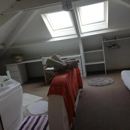 Zen Baignoire Sous Les Toits Homestay *